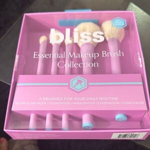 Bliss Pink and Blue Makeup Brush Set